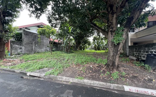 450 sqm Residential Lot in Alabang Hills Village, Muntinlupa City