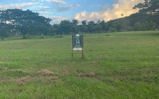 734 sqm Courtyard Lot in Soliento, Nuvali, Calamba, Laguna