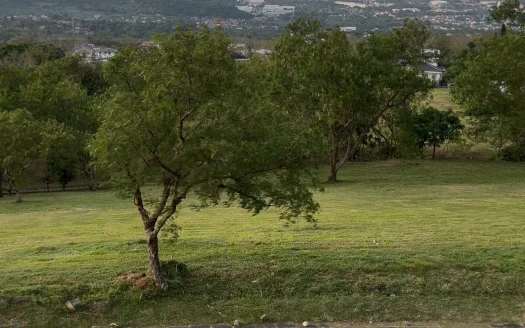 1,773 sqm Super Prime Lot in Ayala Greenfield Estates, Calamba, Laguna