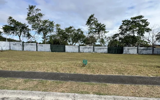 252 sqm Residential Lot in Venare, Nuvali, Calamba, Laguna