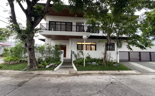 317 sqm Brand New 2-Storey Corner House in BF Homes, Parañaque City