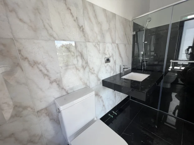 Renovated House and Lot