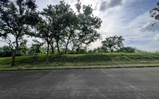 591 sqm Prime Lot for Sale in Ayala Greenfield Estates, Calamba, Laguna
