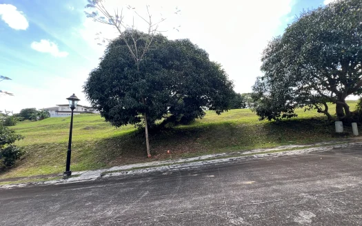 334 sqm Lot for Sale in Ayala Westgrove Heights, Silang, Cavite