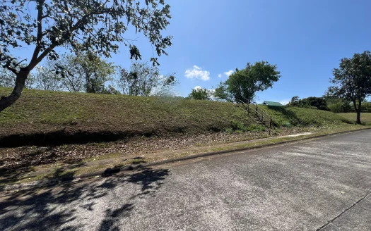 674 sqm Lot with Lake & Mountain Views in Ayala Greenfield Estates, Calamba, Laguna
