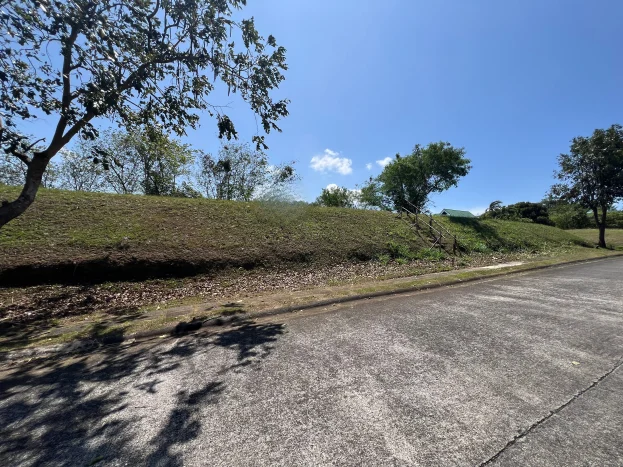 674 sqm Prime Lot with Lake & Mountain Views in Ayala Greenfield Estates, Calamba, Laguna