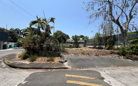 805 sqm Lot For Sale in Ayala Alabang Village, Muntinlupa City