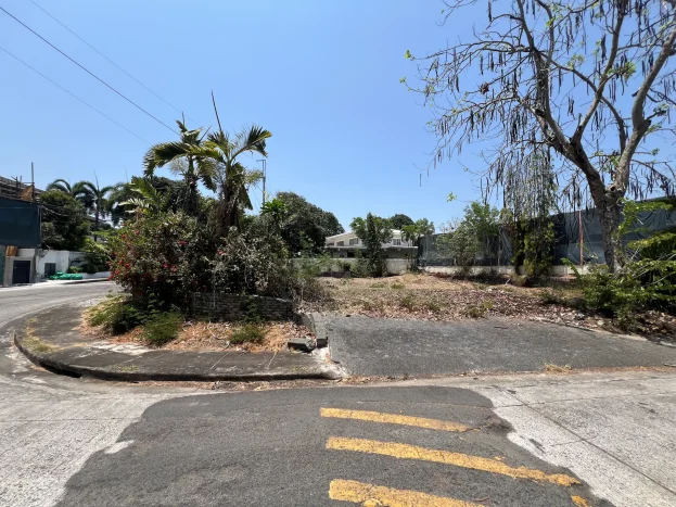 805 sqm Lot For Sale in Ayala Alabang Village, Muntinlupa City