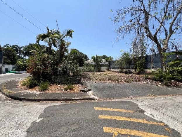 805 sqm Lot For Sale in Ayala Alabang Village, Muntinlupa City