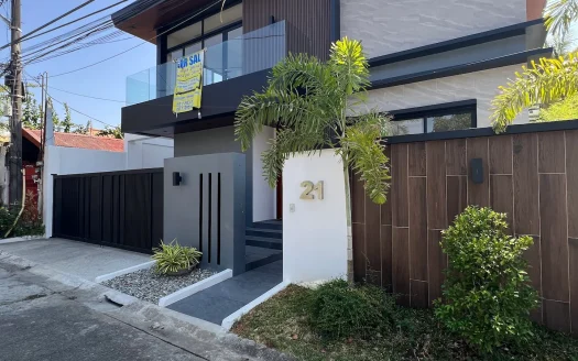 280 sqm Brand New Modern House in B.F. Homes, Paranaque City