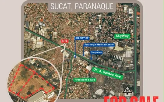 5,481 sqm Commercial Lot For Sale in Dr. A. Santos, Sucat, Paranaque City